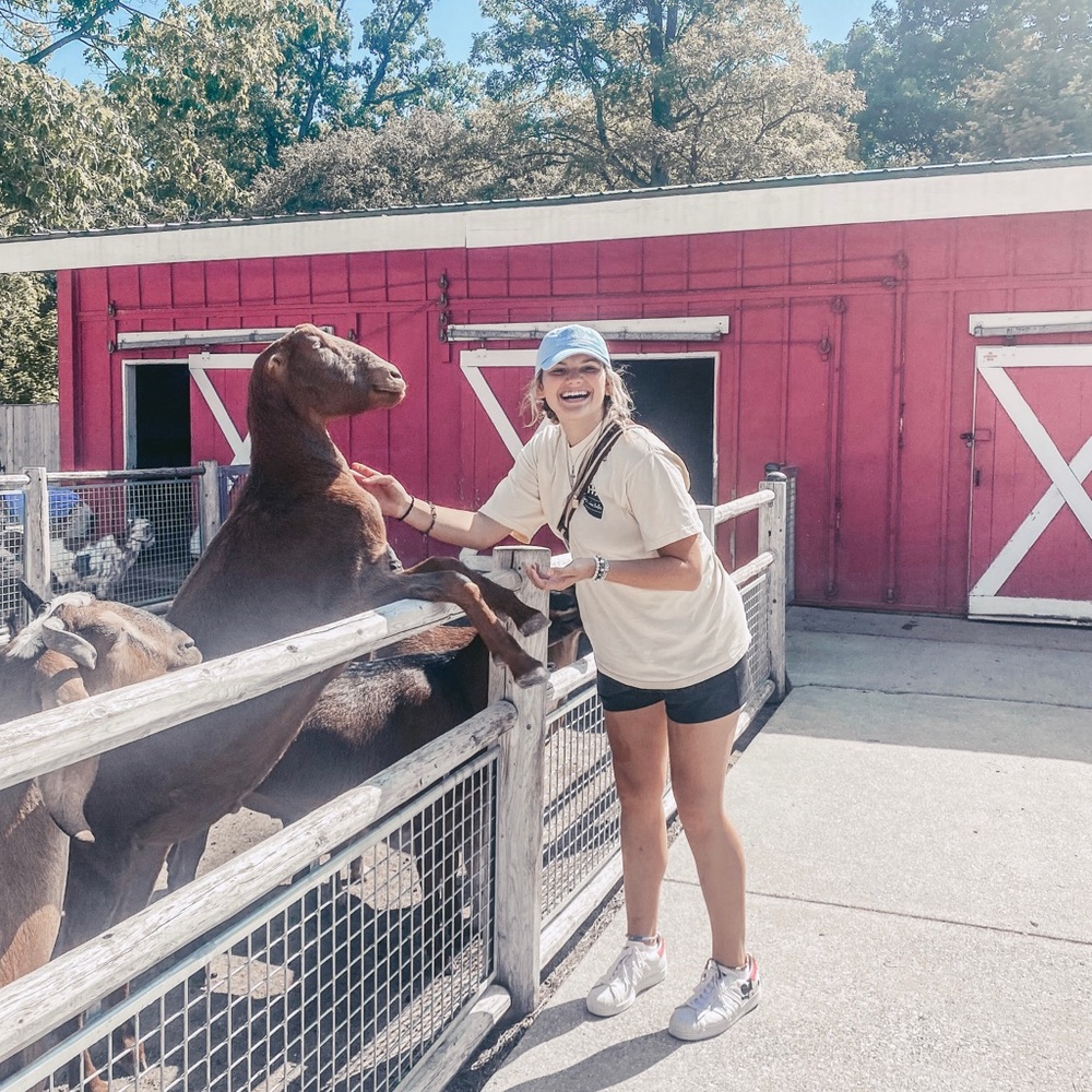 Meet your Posher, Vinni